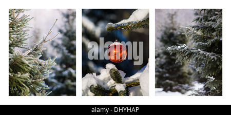 Triptychon - Weihnachtswald. Horizontale Triptychon von drei Fotos von Fichten im Winter und eine rote Kugel auf eines der Fichten Stockfoto