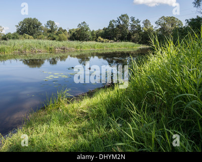 Nationalpark Biebrza-Flusstal, Polen Stockfoto