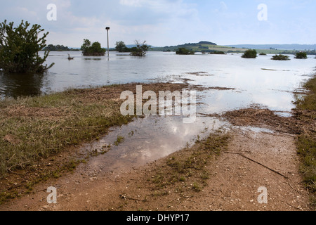 Überflutete Hochwasser-Rückhaltebecken des Flusses Leine, Salzderhelden, Einbeck, Niedersachsen, Deutschland, Europa, Stockfoto