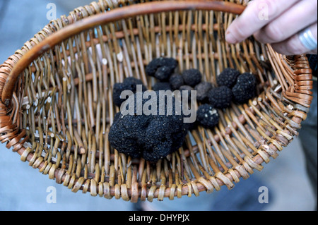 Schwarze Trüffel in einem Weidenkorb Stockfoto