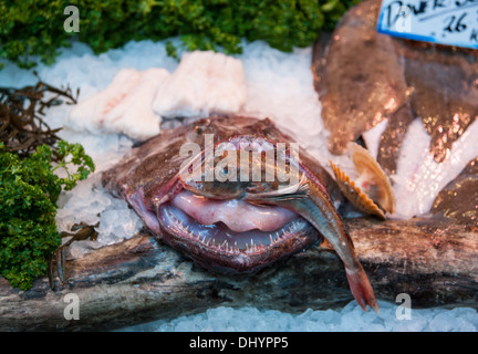 Nassen Fisch Stall mit Seeteufel und Knurrhahn in Borough Market London SE1 UK Stockfoto