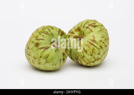 Cherimoya. Zwei Vanillepudding Äpfel auf einem weißen Hintergrund. Stockfoto