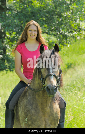 Junge Reiter auf der Rückseite ein Connemara Pony-Hengst Stockfoto