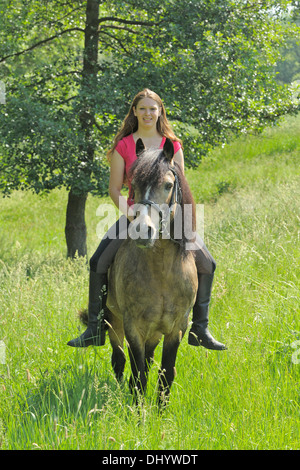 Junge Reiter auf der Rückseite ein Connemara Pony-Hengst Stockfoto