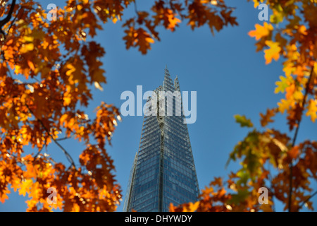 Herbstliche Blätter rund um The Shard, London Bridge Viertel, 32 London Bridge Street, London. SE1, Vereinigtes Königreich Stockfoto