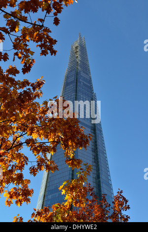 Herbstliche Blätter rund um The Shard, London Bridge Viertel, 32 London Bridge Street, London. SE1, Vereinigtes Königreich Stockfoto