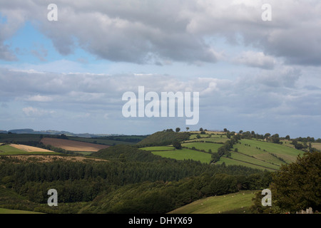 Einen Blick über einen Teil des Clun Waldes in der Nähe von Newcastle und Clun aus der Offa es Dyke Path Shropshire England Stockfoto