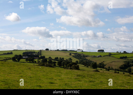 Einen Blick über einen Teil des Clun Waldes in der Nähe von Newcastle und Clun aus der Offa es Dyke Path Shropshire England Stockfoto