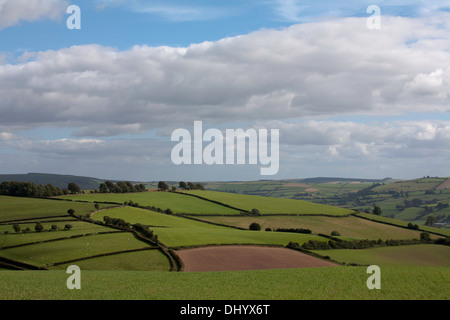 Einen Blick über einen Teil des Clun Waldes in der Nähe von Newcastle und Clun aus der Offa es Dyke Path Shropshire England Stockfoto