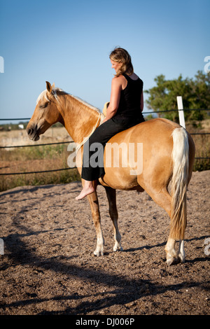 junge Frau Training Pferd draußen im Sommer Choreographie Stockfoto