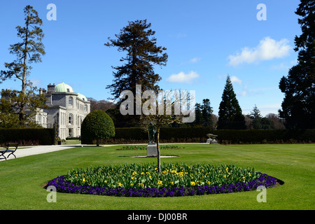 Powerscourt Estate Frühling Bett Grenze Pflanze Pflanzen Anzeige formale Gärten Tulpe Primel Runde Runde Kreis Voranbau Stockfoto