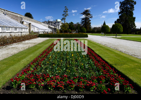 Powerscourt Estate Frühling Bett Grenze Pflanze Pflanzen Anzeige formale Gärten Tulpe Stockfoto