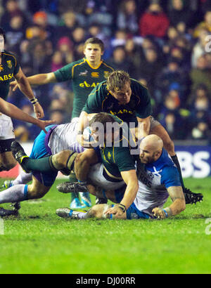 Edinburgh, Schottland. 17. November 2013. Duane Vermuelen von Alastair Stokosch während der Herbst International Rugby Union Test zwischen Schottland und South Africaâ in Angriff genommen wird. Zum Murrayfield Stadium, Edinburgh. Bildnachweis: Aktion Plus Sport/Alamy Live-Nachrichten Stockfoto