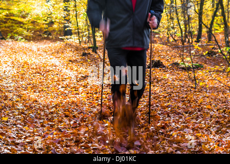 Beine des Mannes pflegen Herbst im Wald Nordic walking Stockfoto