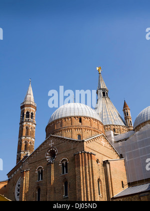 Die Basilika des Heiligen Antonius von Padua in Padua oder Padua in Norditalien Stockfoto