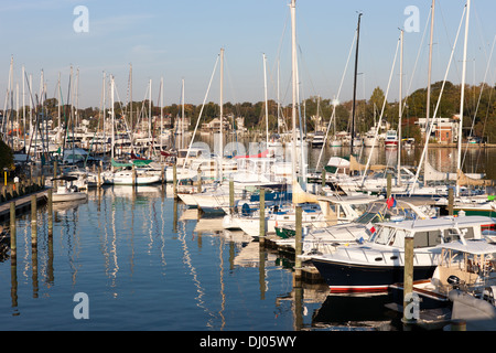 Segelboote und anderen Sportbooten angedockt an der Annapolis Yacht Club auf Spa ß in Annapolis, Maryland. Stockfoto