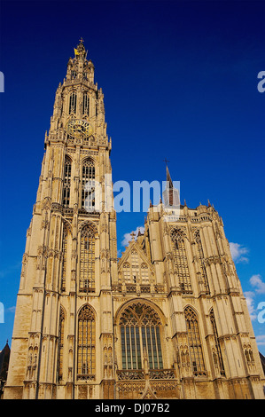 Kathedrale unserer lieben Frau, Antwerpen Stockfoto