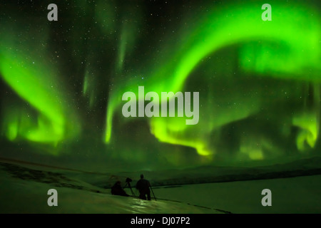 Nordlichter erscheinen mit einem lebendigen grünen wirbelnden Muster in den Nachthimmel in Abisko, arktischen Schweden Stockfoto