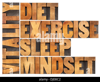 Ernährung, Schlaf, Bewegung und Haltung - Vitalität-Konzept - isoliert Wort abstrakt in Vintage Buchdruck Holzart Stockfoto
