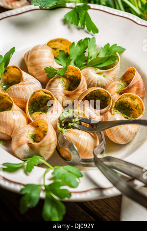 Schnecken in Knoblauchbutter auf dem Silbertablett serviert gebacken Stockfoto