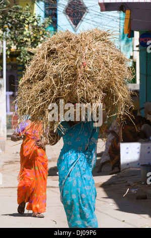 Indische Frau in türkis blaue Sari trägt ein Bündel Stroh auf dem Kopf für Futter für ihr Vieh gehalten, bei ihr zu Hause Stockfoto