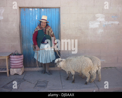 Eine lokale Quechua sprechende Dame wartet, ihre Schafe zu Markt in einem kleinen Andendorf in der Nähe von Cusco, Peru Stockfoto