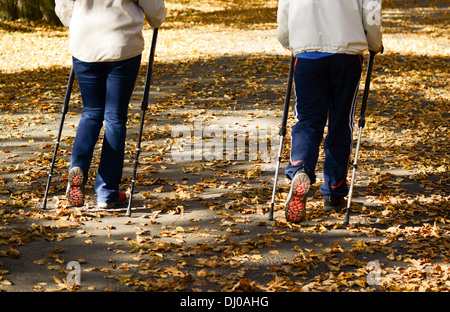 Älteres paar machen Nordic walking im park Stockfoto