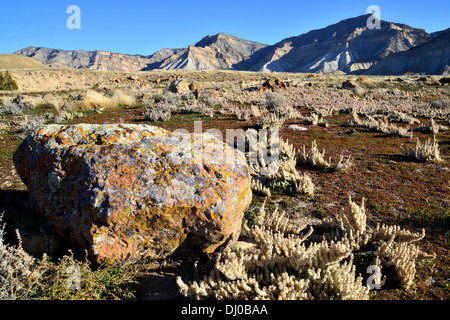 wunderschöne farbige Flechten bedecken Felsbrocken in einer ansonsten stark Wüste, genannt die Bookcliffs nördlich von Grand Junction, Colorado Stockfoto