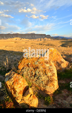 wunderschöne farbige Flechten bedecken Felsbrocken in einer ansonsten stark Wüste, genannt die Bookcliffs nördlich von Grand Junction, Colorado Stockfoto