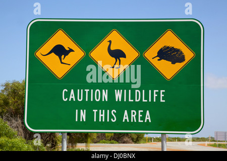 Eine australische Tierwelt Zeichen Darstellung ein Känguru, emu und ein Ameisenigel, am Indischen Ozean Wegesrand in Western Australia. Stockfoto