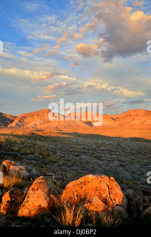 wunderschöne farbige Flechten bedecken Felsbrocken in einer ansonsten stark Wüste, genannt die Bookcliffs nördlich von Grand Junction, Colorado Stockfoto