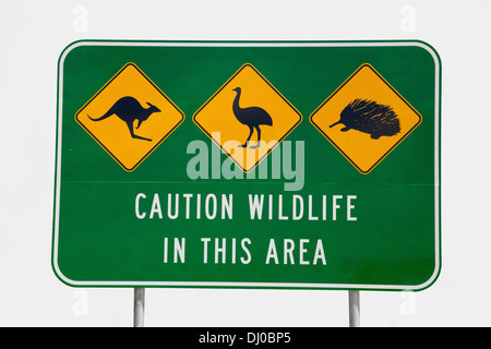 Eine australische Tierwelt Zeichen Darstellung ein Känguru, emu und ein Ameisenigel, am Indischen Ozean Wegesrand in Western Australia. Stockfoto