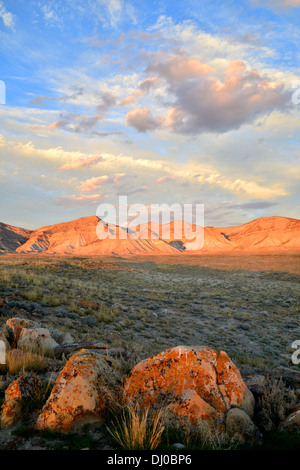 wunderschöne farbige Flechten bedecken Felsbrocken in einer ansonsten stark Wüste, genannt die Bookcliffs nördlich von Grand Junction, Colorado Stockfoto