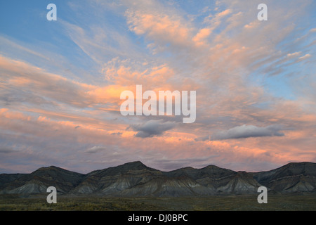 wunderschöne farbige Flechten bedecken Felsbrocken in einer ansonsten stark Wüste, genannt die Bookcliffs nördlich von Grand Junction, Colorado Stockfoto