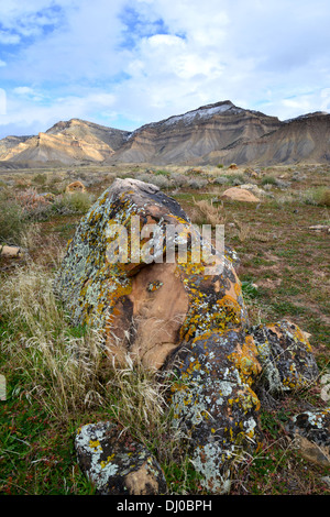 wunderschöne farbige Flechten bedecken Felsbrocken in einer ansonsten stark Wüste, genannt die Bookcliffs nördlich von Grand Junction, Colorado Stockfoto