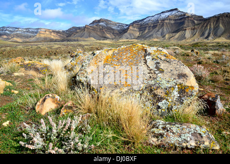 wunderschöne farbige Flechten bedecken Felsbrocken in einer ansonsten stark Wüste, genannt die Bookcliffs nördlich von Grand Junction, Colorado Stockfoto