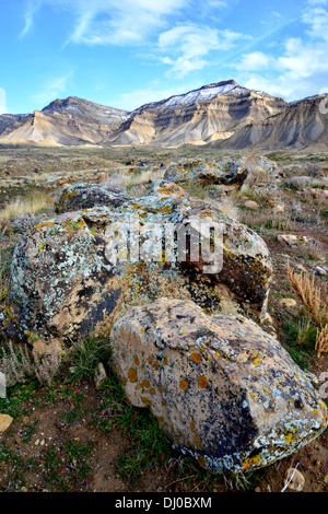 wunderschöne farbige Flechten bedecken Felsbrocken in einer ansonsten stark Wüste, genannt die Bookcliffs nördlich von Grand Junction, Colorado Stockfoto