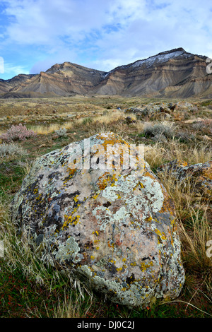 wunderschöne farbige Flechten bedecken Felsbrocken in einer ansonsten stark Wüste, genannt die Bookcliffs nördlich von Grand Junction, Colorado Stockfoto