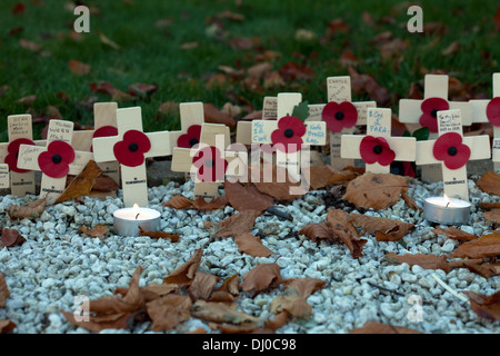 Gedenktag Kreuze platziert von Verwandten und Angehörigen am 11. November 2013 in England, UK Stockfoto