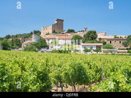 Weinberge und das historische Dorf von Châteauneuf du Pape, Frankreich, Europa Stockfoto