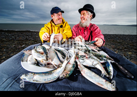 Fischer Stephen Perham (links) und Chris Braund bereiten Hering für das jährliche Festival Clovelly Hering, Devon, UK Stockfoto