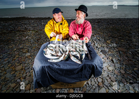 Fischer Stephen Perham (links) und Chris Braund bereiten Hering für das jährliche Festival Clovelly Hering, Devon, UK Stockfoto