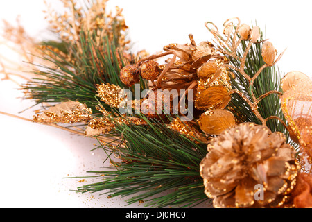 Weihnachtsbaum Zweig mit Zapfen auf weißem Hintergrund. Stockfoto