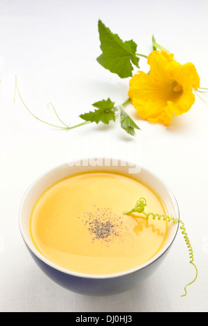 Schüssel mit Kürbissuppe mit Mohn und Kürbis Blume im Hintergrund. Stockfoto