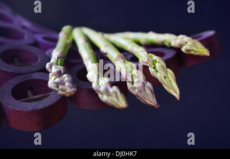 Fünf grüne Spargel auf eine violette Halterung auf dunkelblauem Hintergrund Stockfoto