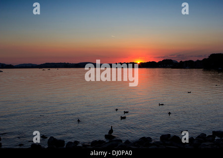 Sonnenuntergang am Bodensee in Konstanz Stockfoto