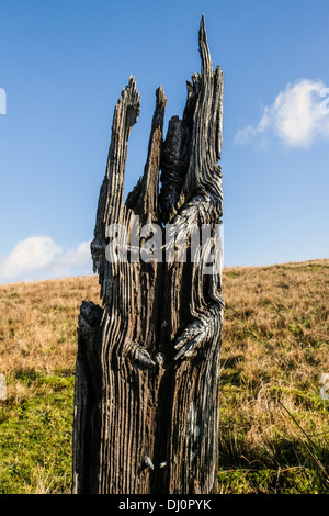 Low Angle View von Abgeklungen, verrottendes Holz- zaunpfosten; Faule Eisenbahnschwellen, Cowgill, Dent Dorf im Süden Lakeland District von Cumbria, Großbritannien Stockfoto