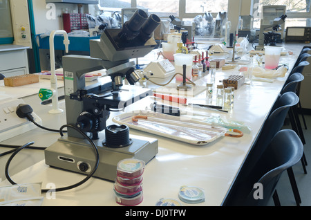 Mikrobiologie autoklaviert sterile Ausrüstung für die Zellkultur mit Bakterien in Wissenschaft für Molekularbiologie Stockfoto