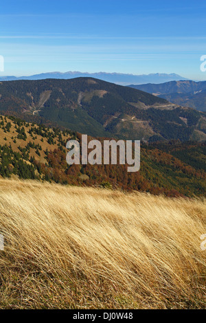 Ausblick vom Gipfel des Rakytov (Velka Fatra) zur hohen Tatra, Slowakei. Stockfoto