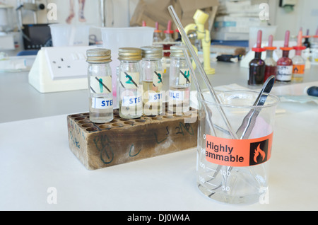 Mikrobiologie autoklaviert sterile Ausrüstung für die Zellkultur mit Bakterien in Wissenschaft für Molekularbiologie Stockfoto